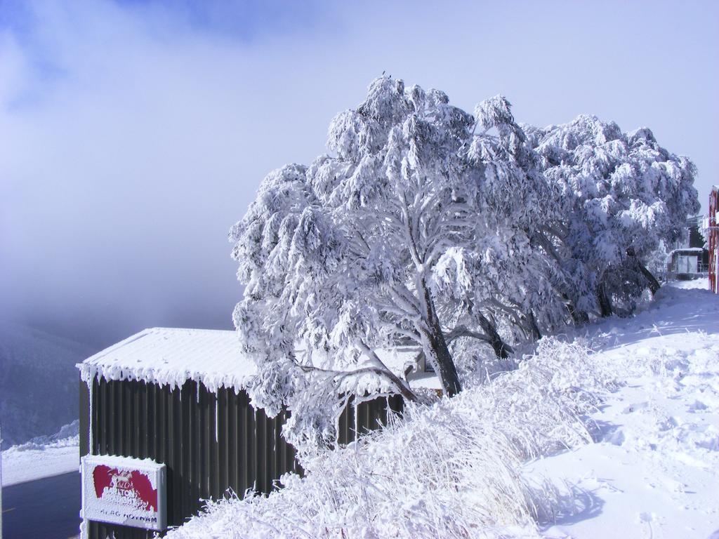 فيلا Arlberg Hotham ماونت هوثام المظهر الخارجي الصورة